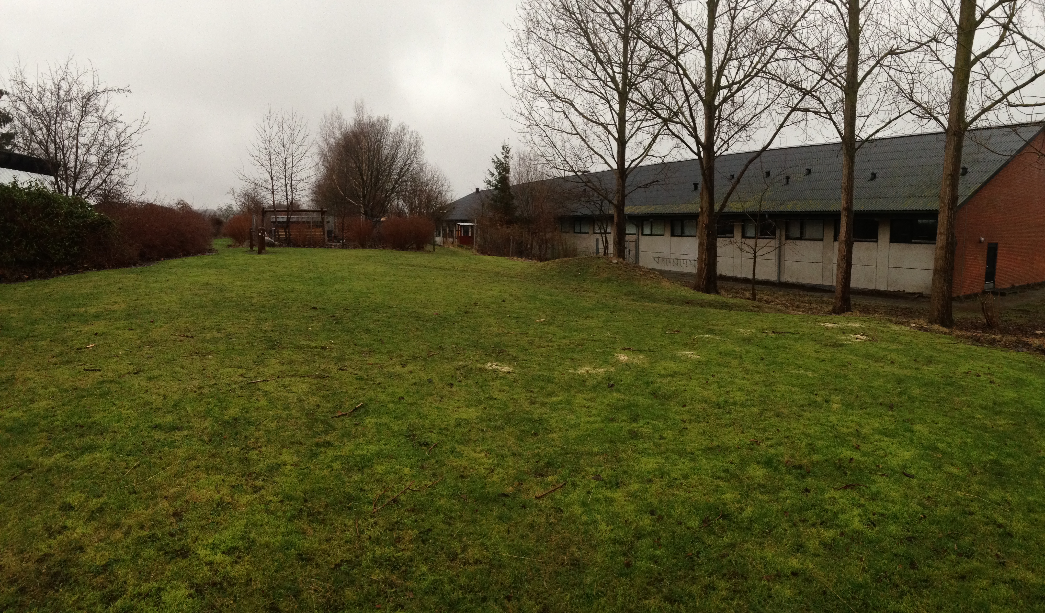 生徒たちとデザインする中学校の庭 “Our Project”