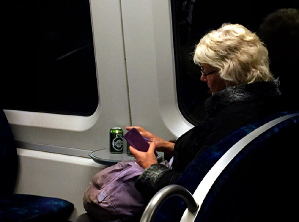 「デンマーク　広がる電子化の波」が公開されました。