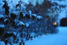 winter
