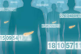 コロナ影響下のデンマークからの報告part III ~マイナンバーが役に立つ理由