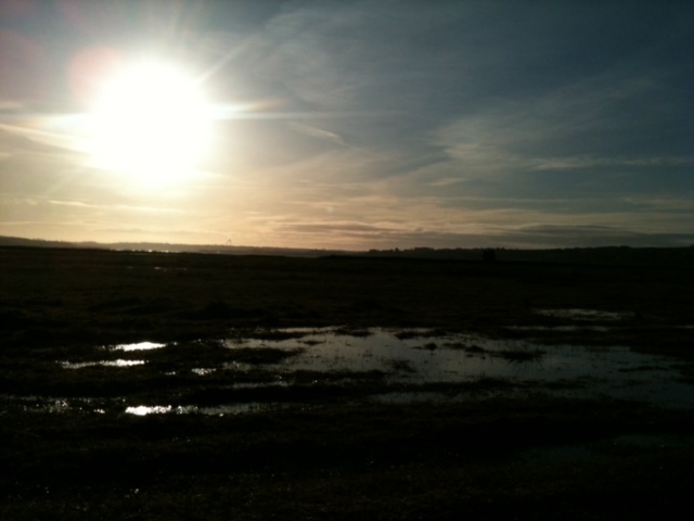 北欧研究所：新年の挨拶