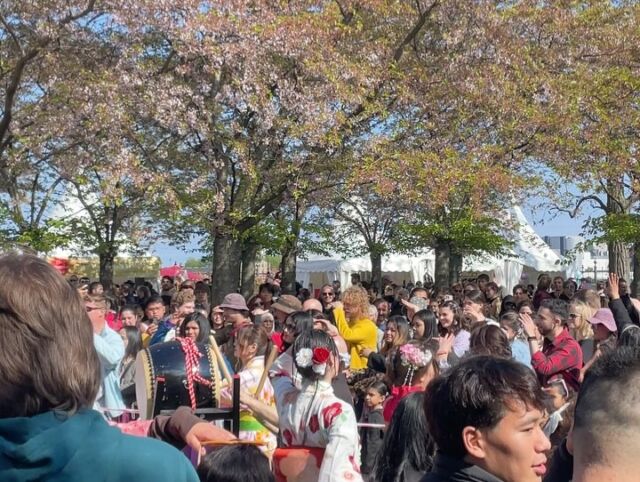 こんにちは！
4月26日、27日に行われたコペンハーゲン桜祭りに行ってきました🌸

青空の下、満開の桜とともにたくさんの人が集まっていて、こんなにも多くの人が日本に興味を持ってくれてることを実感して嬉しかったです☺️和太鼓や着物ショー、屋台の日本食などデンマークにいながら日本の春を感じられる特別な2日間でした。

盆踊りでは日本では見られないポップな音楽とともに、国籍を超えた多くの方々がノリノリで踊っていて新鮮でした✨

私はフリーマーケットでボランティアをしていたのですが、日本語を勉強中のデンマーク人の方や日本文化に興味を持ってくれている方など、多くのお客さんが立ち寄ってくれました🇯🇵🤝

初めての桜祭りでしたが、春の訪れとともに、たくさんのあたたかい出会いに恵まれた2日間でした🌸

#北欧 #business #Nordic#北欧デザイン＃北欧暮らし#北欧スタイル＃北欧好き#北欧シンプル#北欧ナチュラル  #Japanordic #北欧研究所#さくら#桜祭り#祭り#sakura#sakurafestivalcopenhagen#copenhagen